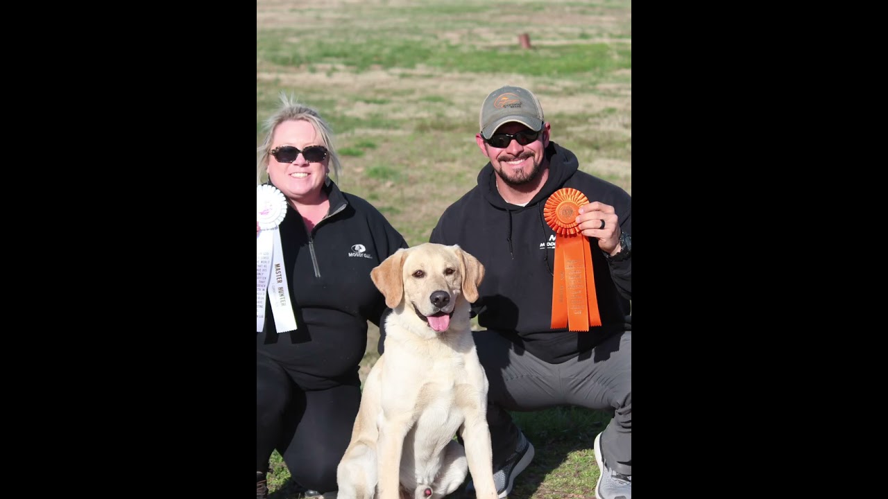 GRHRCH Team King&rsquo;s &ldquo;Burn It Down&rdquo; Gage MH