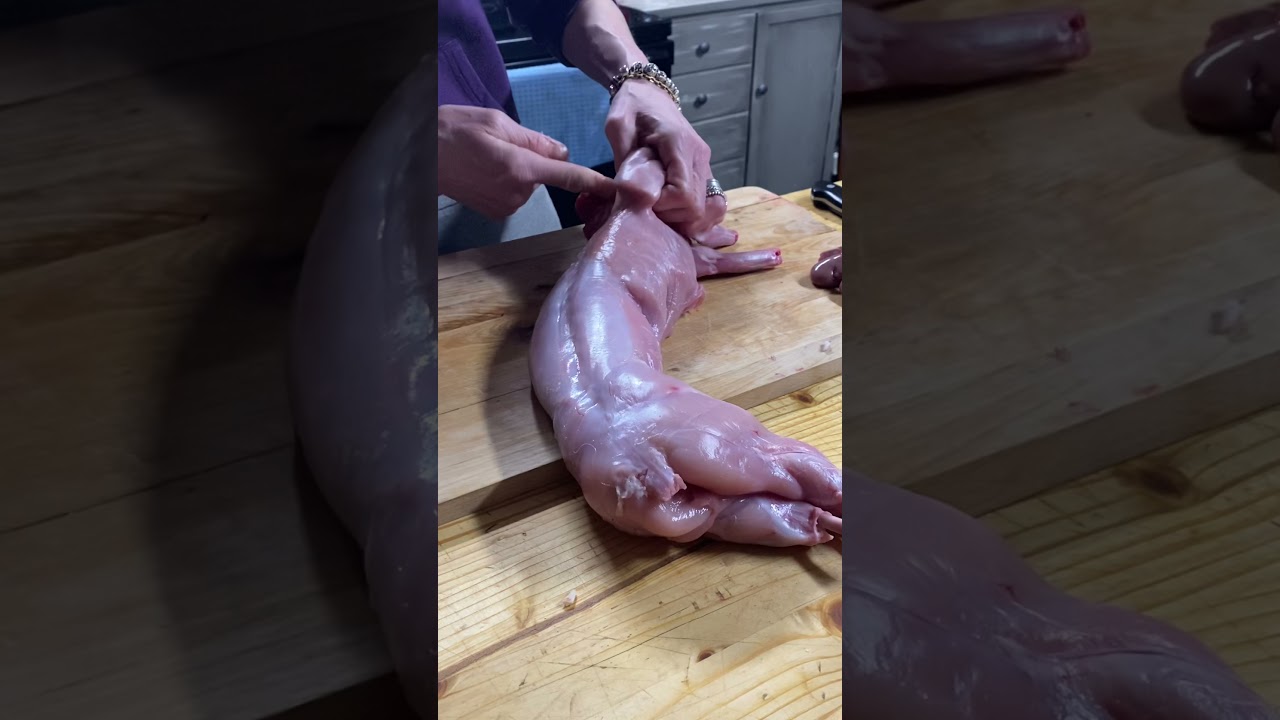 How to break down a rabbit for cooking