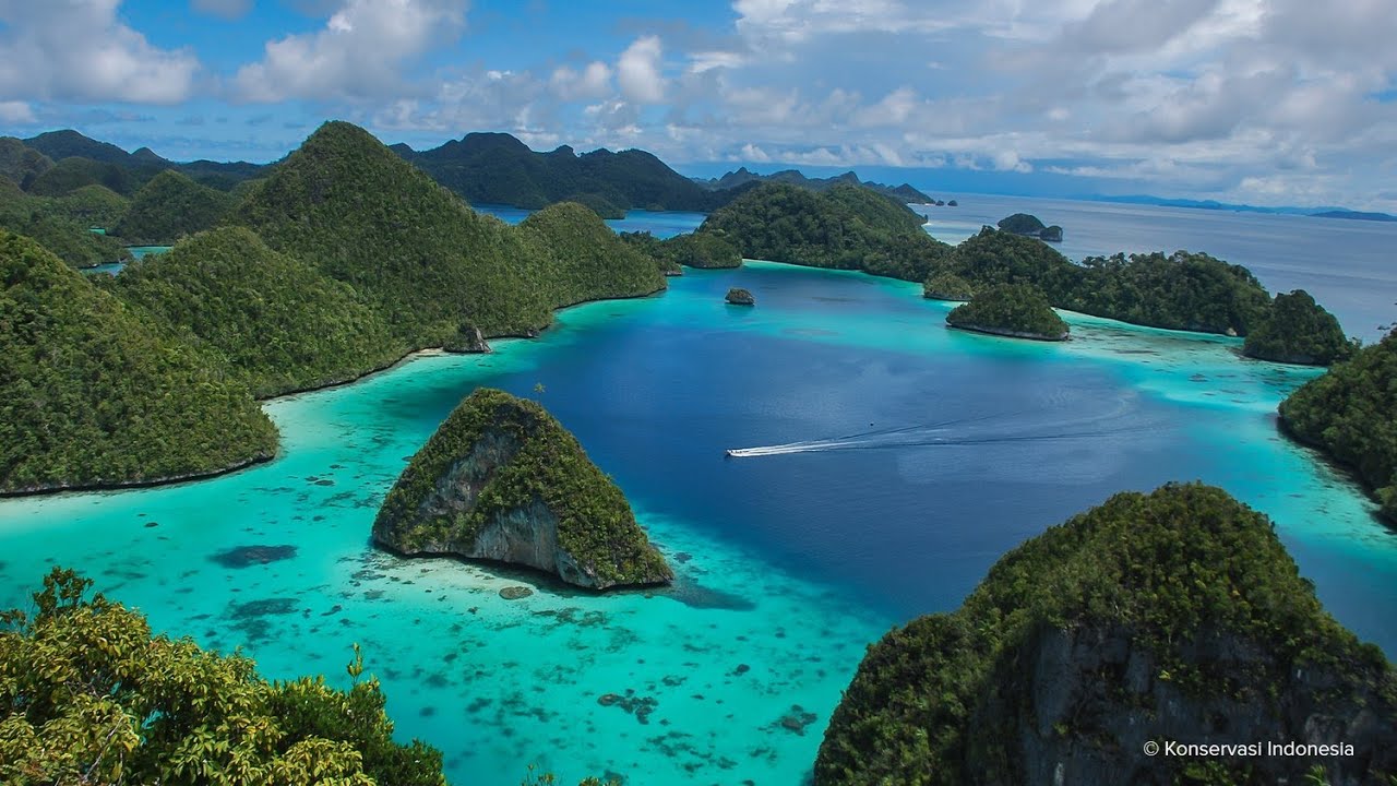 Ai Musik - Jaga Alam Papua