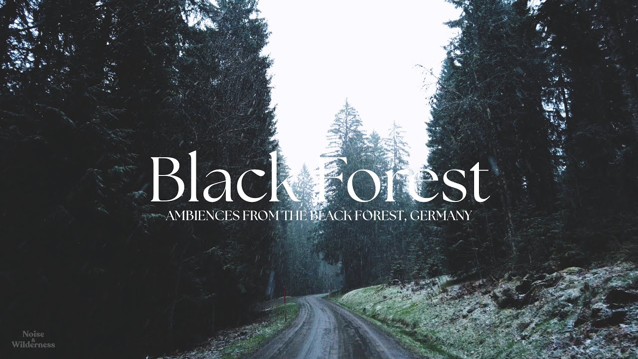 Snowing in the Black Forest, Binaural Audio