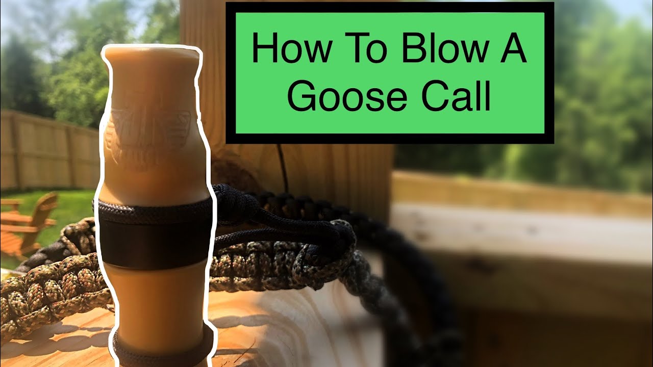 How To Blow A GOOSE CALL For BEGINNERS!