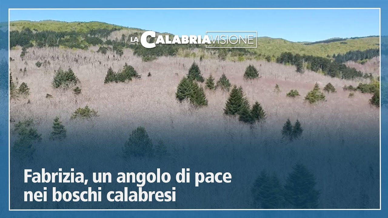 Fabrizia, un angolo di pace nei boschi calabresi - LaCalabriavisione