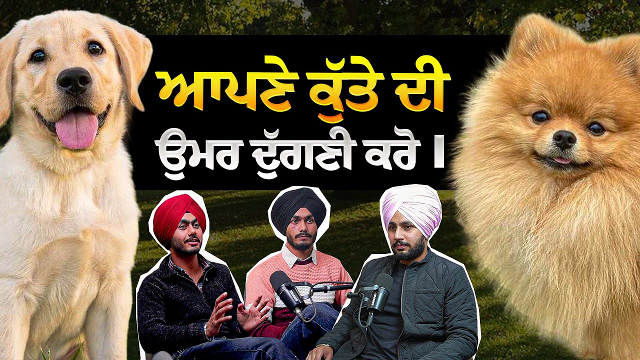 MOST IMPORTANT PODCAST FOR EVERY PET OWNER❗️| @Brotherz_pet_shop on The Pendu Podcast