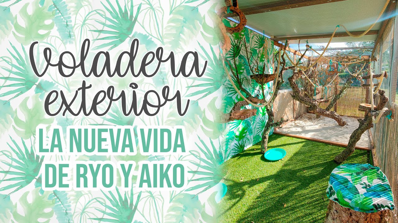 VOLADERA EXTERIOR para mis loros, proceso, construcci&oacute;n y resultado| @saratorressoler__