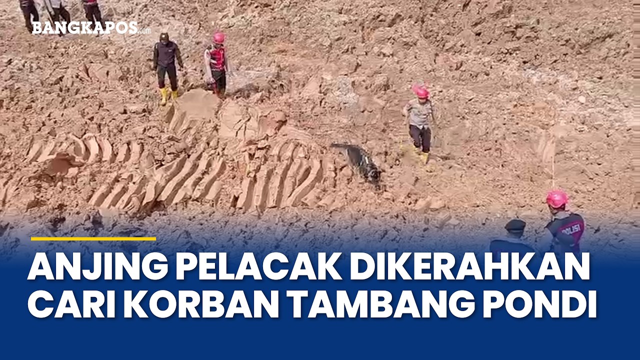 Anjing Pelacak Dikerahkan, Korban Longsor Terakhir Tambang Pondi Belum Ditemukan