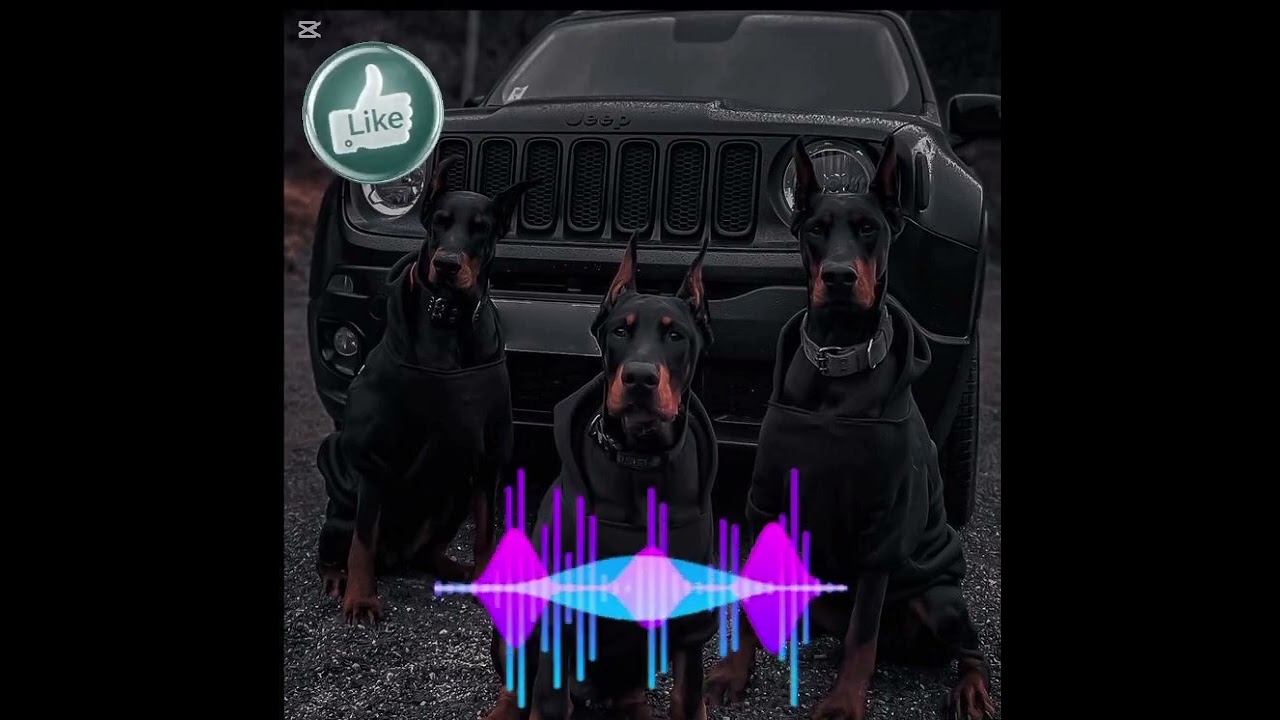  Music Remix 2026 🚗 EDM Clu Mix Min Bass Boosted #EDMCIub #ClubBangers #NightDrive #MusicMix #DJMix
