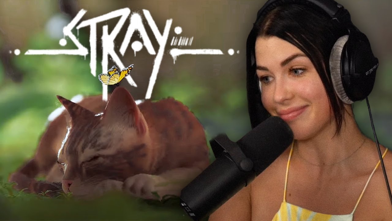 Le jeu le plus mignon EVER 🥹 | STRAY #1