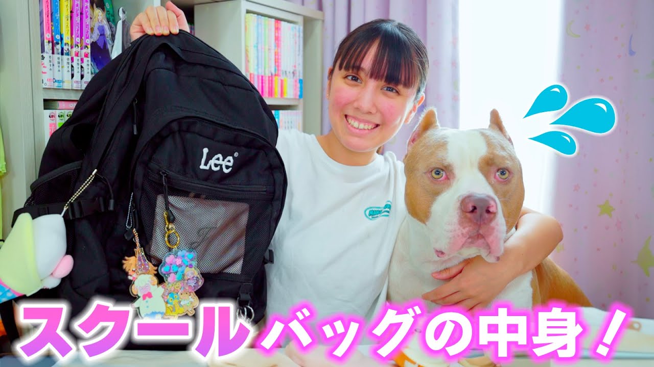 スクールバッグの中身を公開！毎日持って行ってる物は何？【バッグの中身】 (My School Bag)