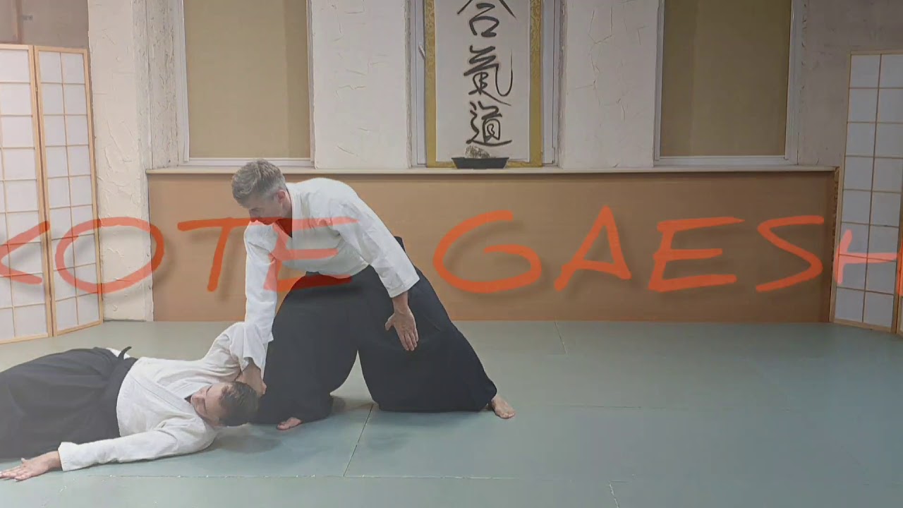 Roman Hoffmann Shihan-  Aiki Collection - 6 KYU
