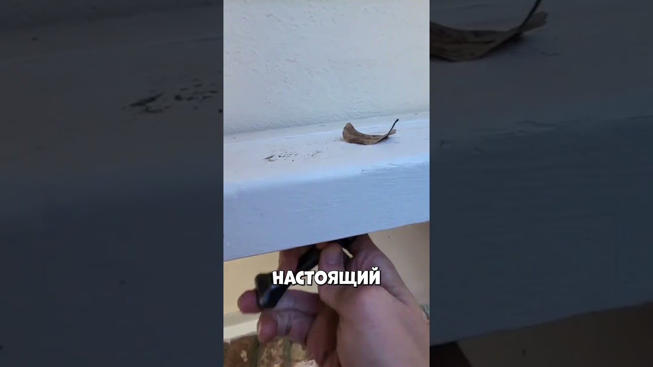 Этот инспектор зарабатывает 200 долларов в час #shorts