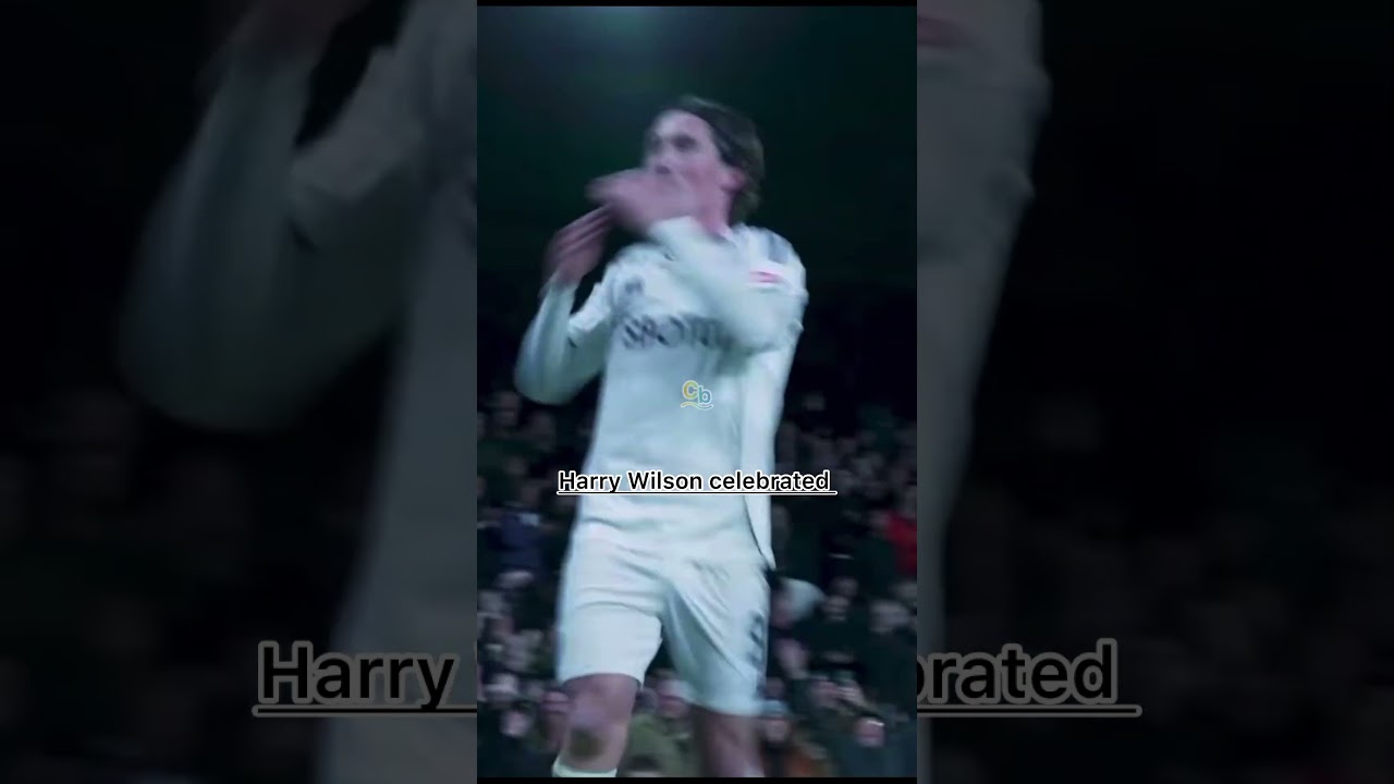 The moment Fulham celebrated Harry Wilson against Brighton.