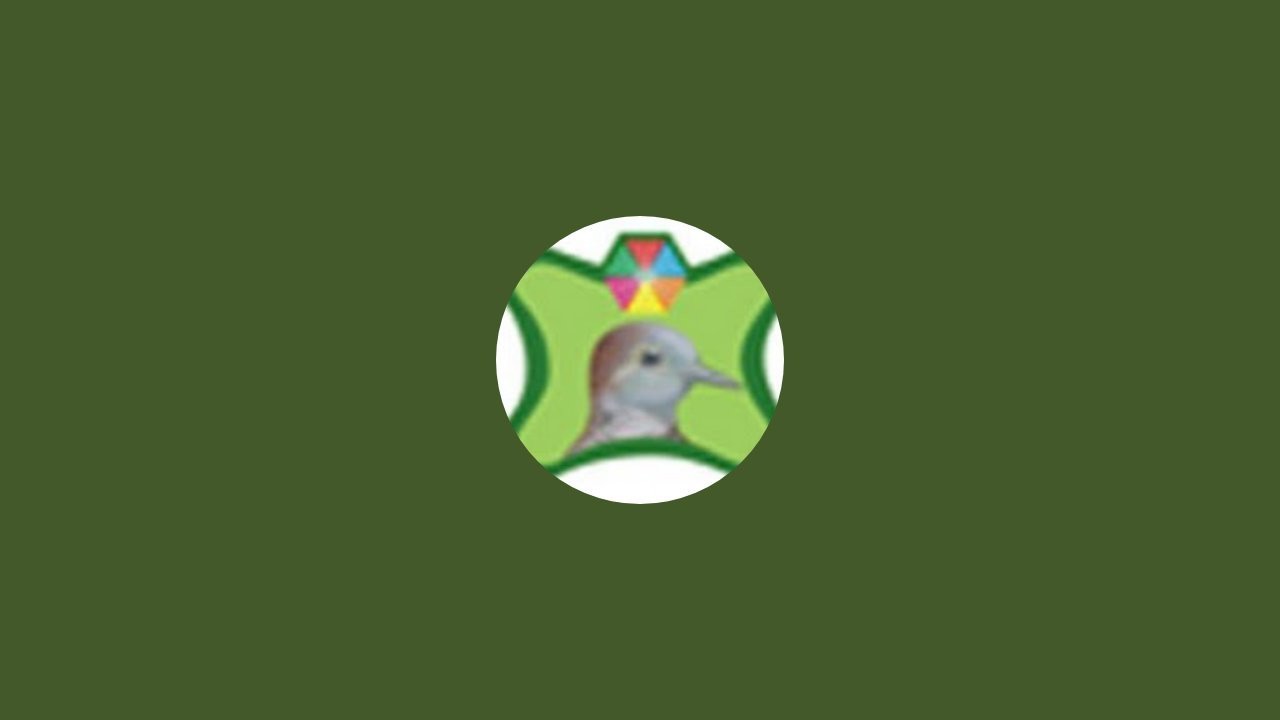 LOMBA BURUNG DERKUKU NGABUBURIT RAMADAN 2026 GODEAN SLEMAN 