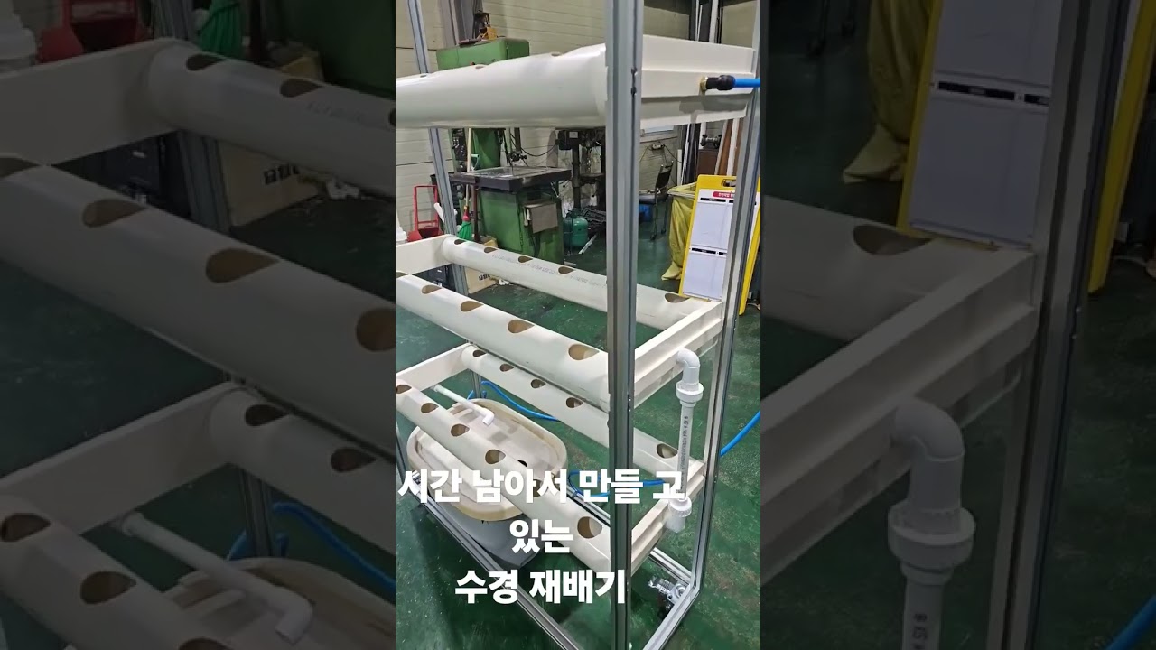 #수경재배 #상추수경재배 #분무수경 #상추 #자작수경재배기#취미#고추냉이#와사비