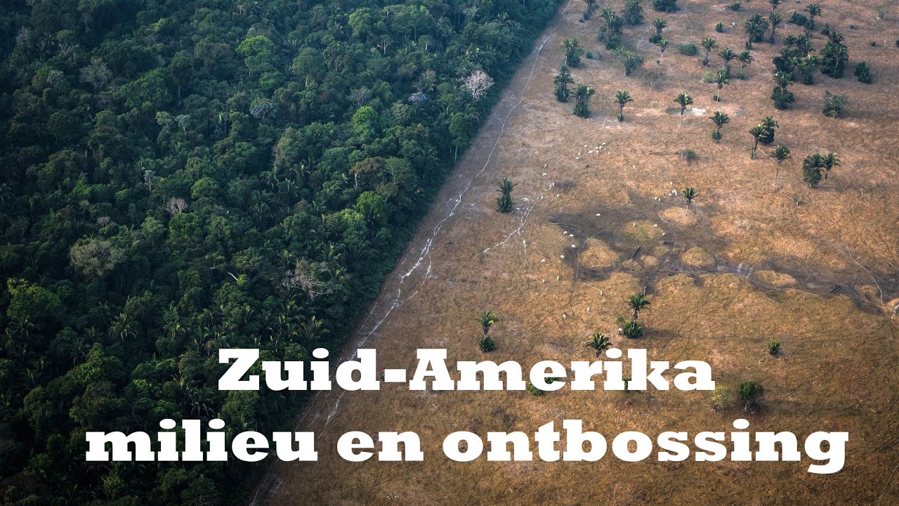 Ontbossing Zuid Amerika