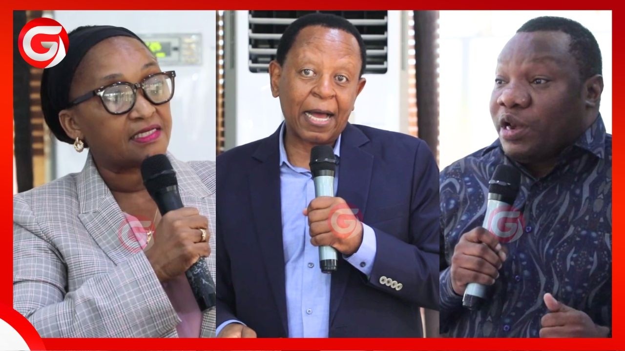 MPANGO WA KUKUZA KILIMO KUPITIA SHOROBA WAANZA - WADAU WAKUTANA MWANZA KUJADILI...