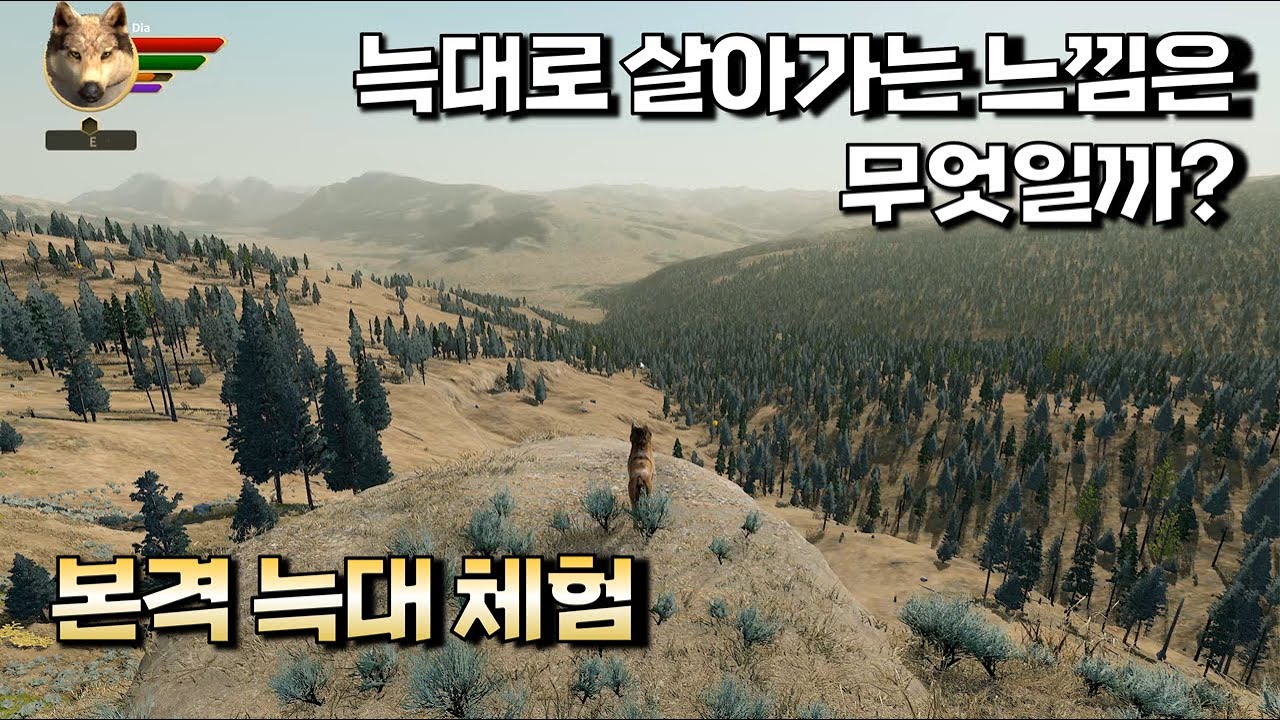 울프퀘스트: 애니버서리 에디션 - WolfQuest