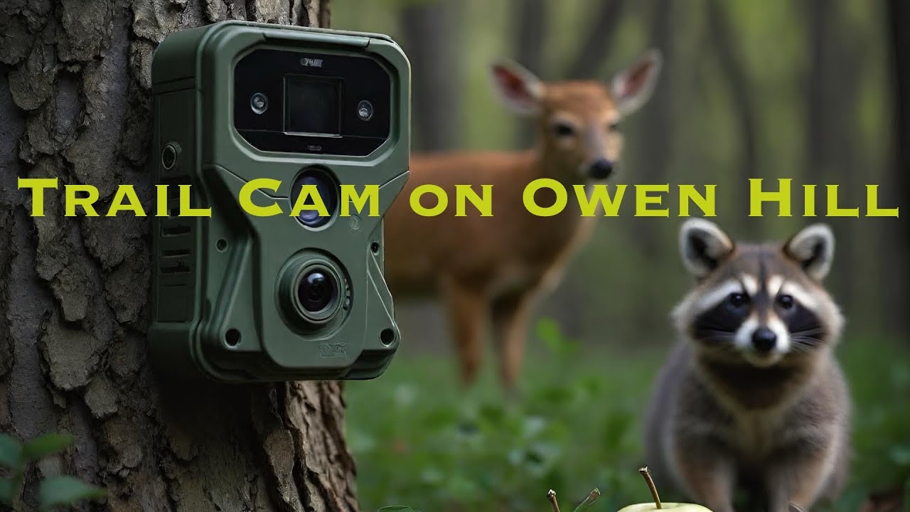 Trail Cam video from Owen Hill