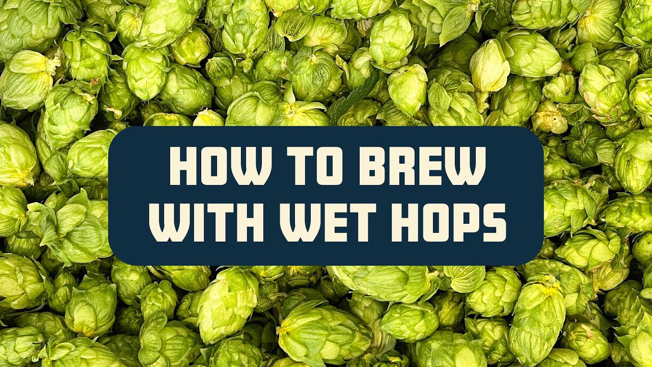 How to Brew with Wet (aka 