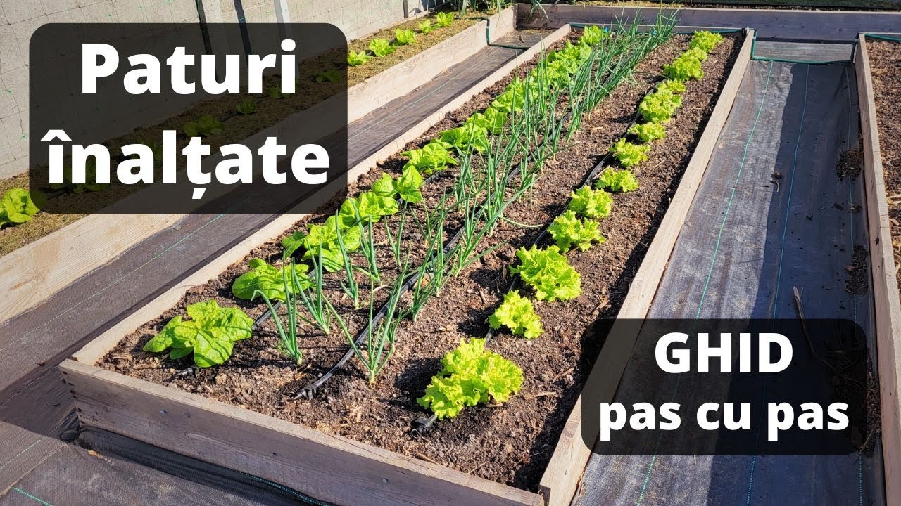 Constructie Straturi inaltate in Gradina, pentru Legume | Raised garden beds