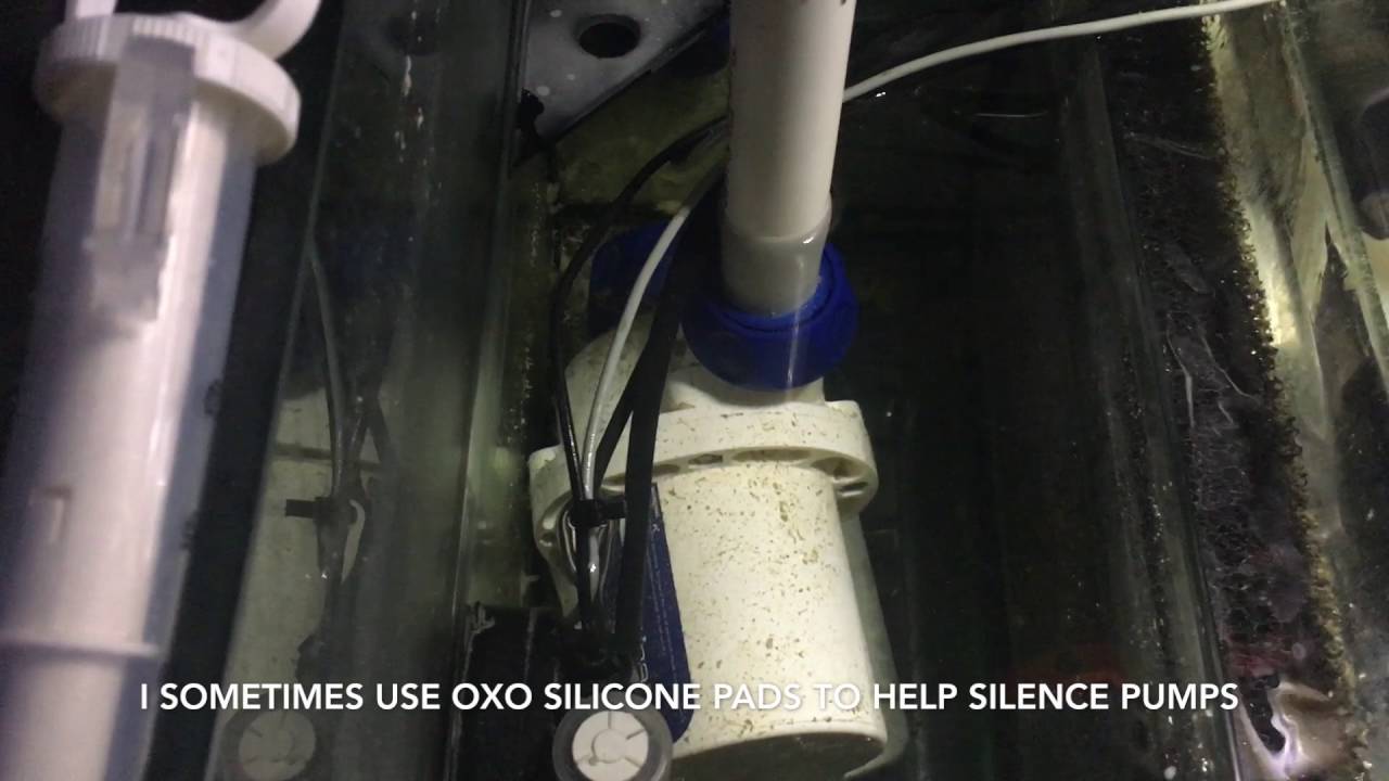 How silent is the Ecotech Vectra M1?