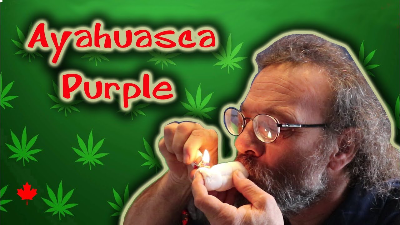 Pot Strains Ayahuasca Purple