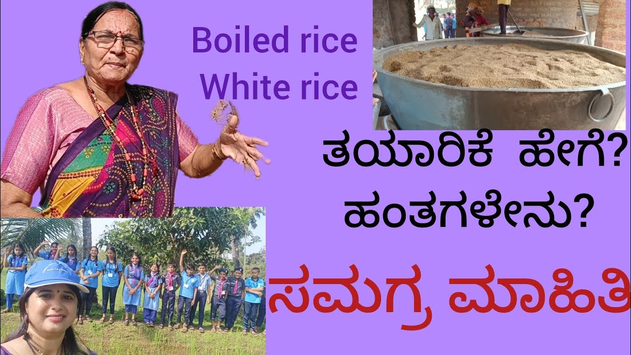 Rice #paddy#steps#boiled#white rice#step by step#process#ricemill