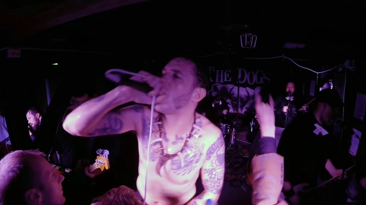 The Dogs - You Never Loved Me At All