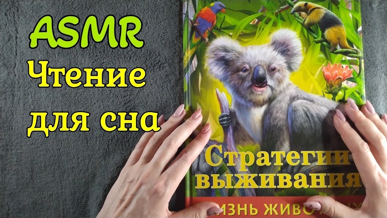 Стратегии выживания ч.2, асмр шепот чтение для сна • ASMR книга с картинками, близким шёпотом