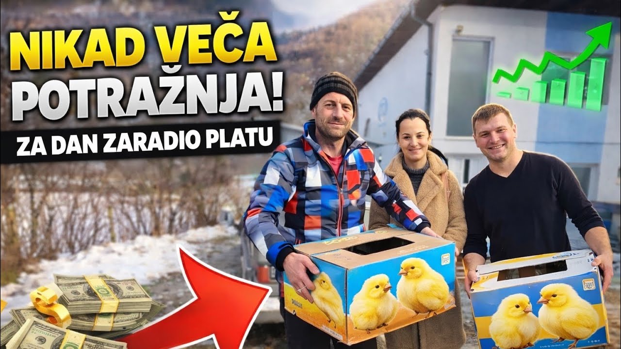 NIKAD VEĆA POTRAŽNJA! Za jedan dan zaradio platu! 😱💸