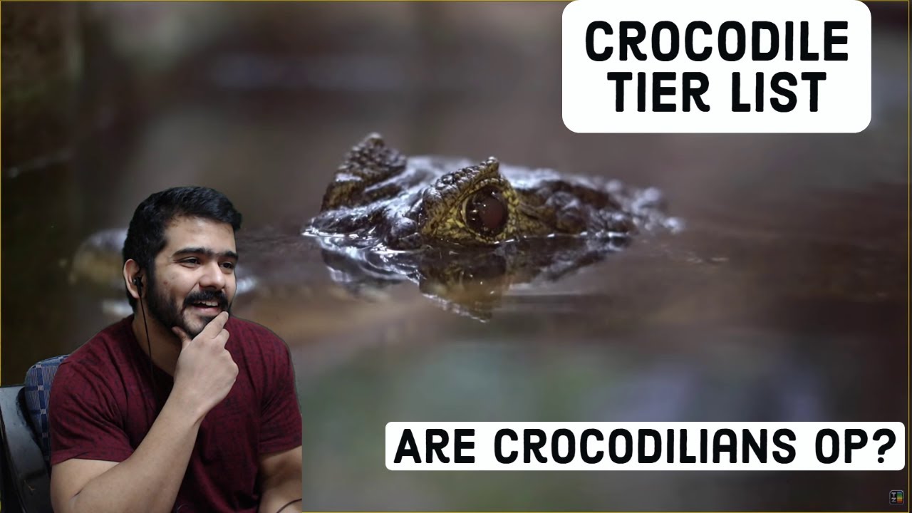 Are Crocodilians OP? (TierZoo) CG Reaction