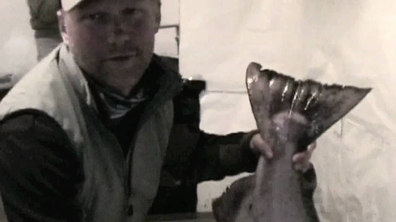 Tron from Norway Catches a King Salmon