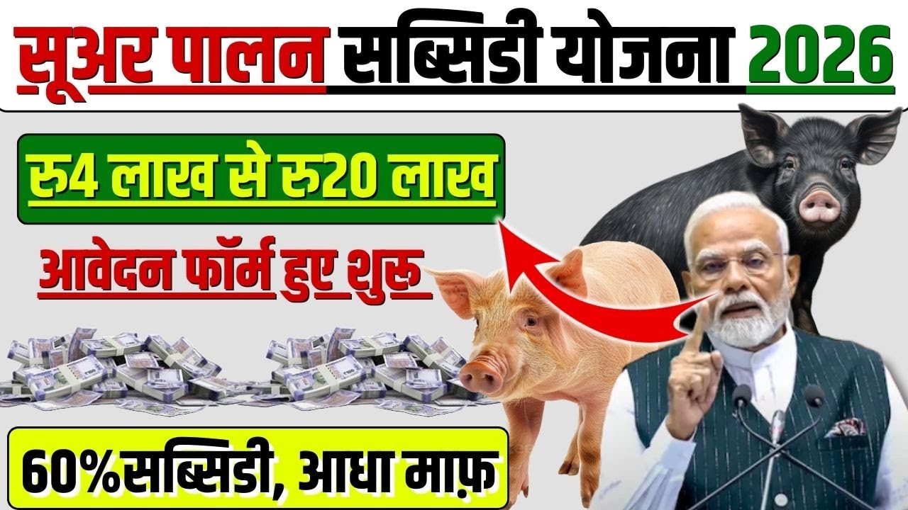 Pig Farming Loan Kaise Le 2026: Documents & Project Report for 100% Approval!