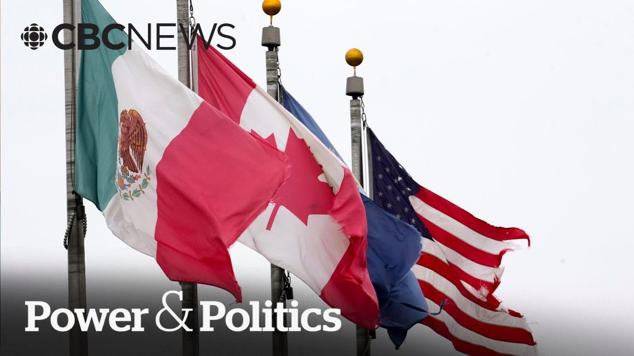 Can U.S. industry convince Trump to renew free trade in North America? | Power & Politics