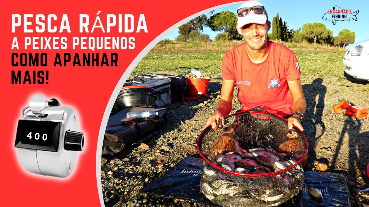 COMO APANHAR MAIS! Pesca Rápida a Peixes Pequenos - Rapidez e Eficácia