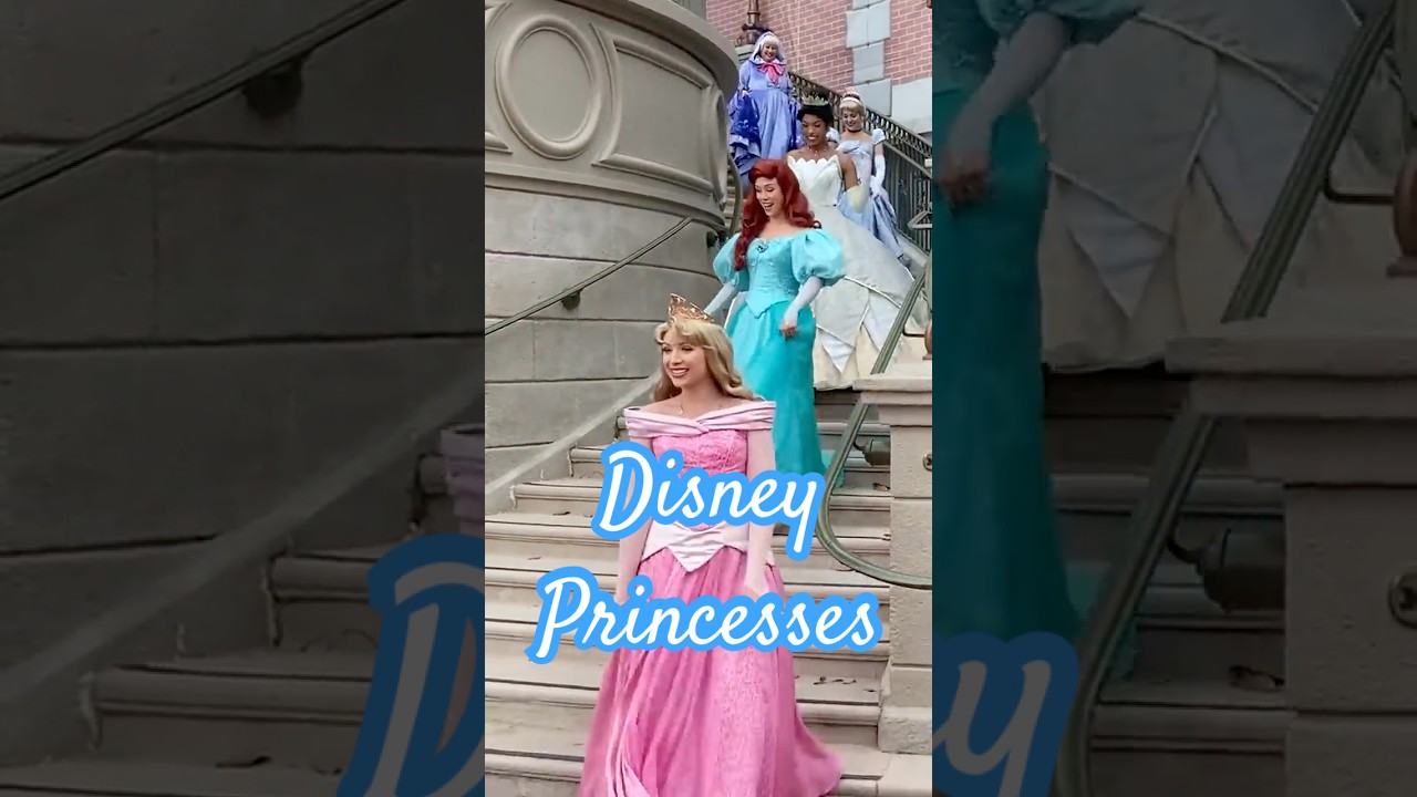 8 Disney Princesses Descend to Greet Excited Guests at the Magic Kingdom!