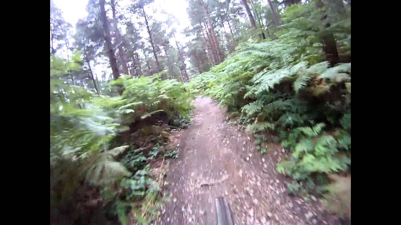 Bedgebury Red Route and Freeride track
