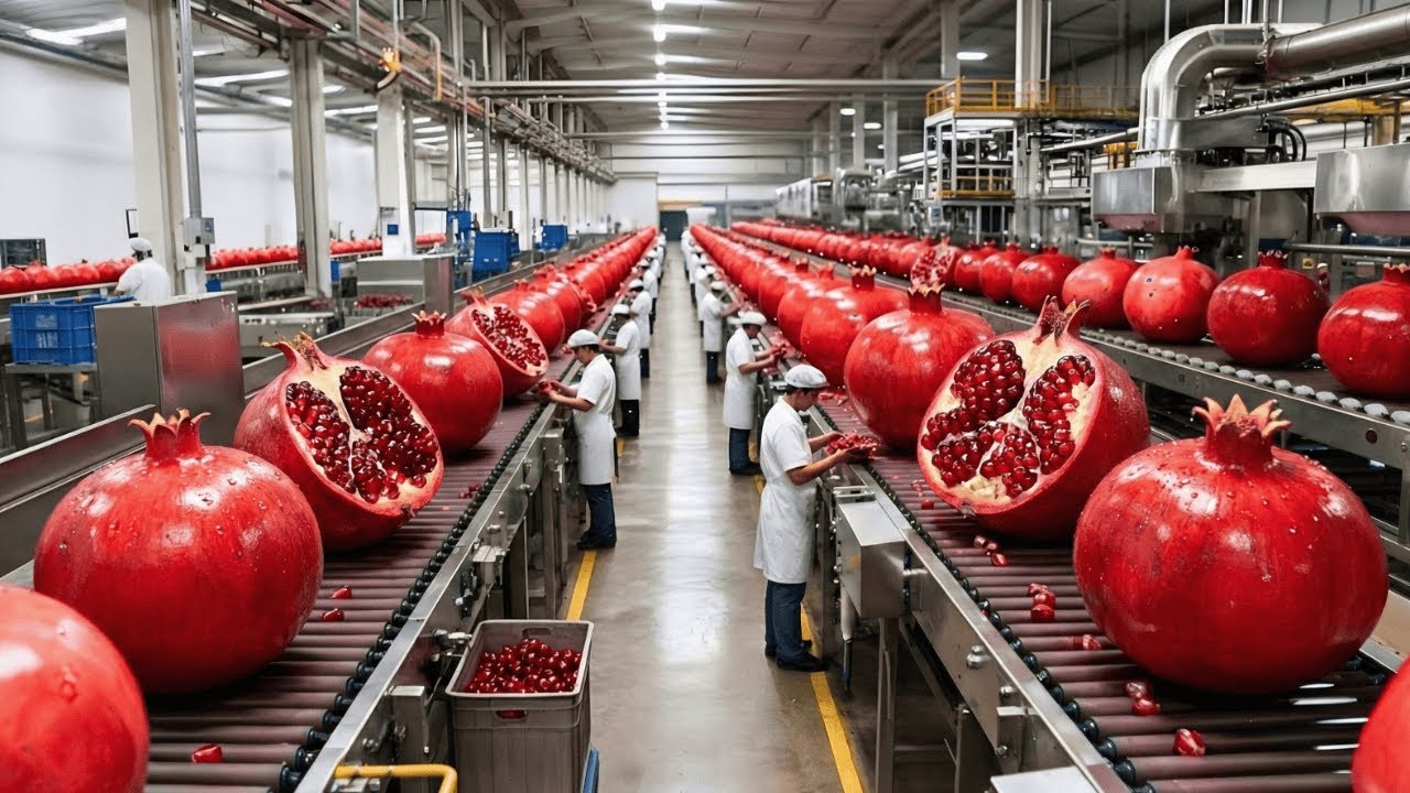 Inside a High-Speed Pomegranate Juice Factory: Fresh Pomegranates to Premium Bottles (Full Process)