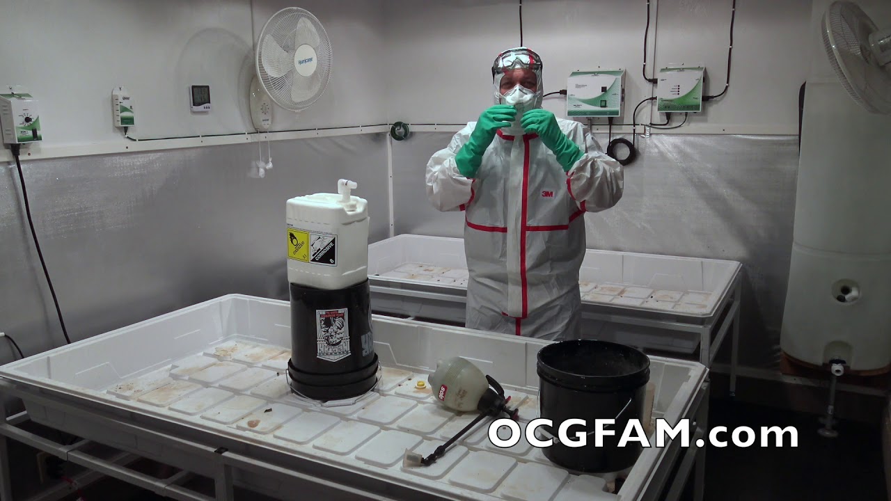 Cleaning the Grow Room With Zerotol | OCGFAM 24