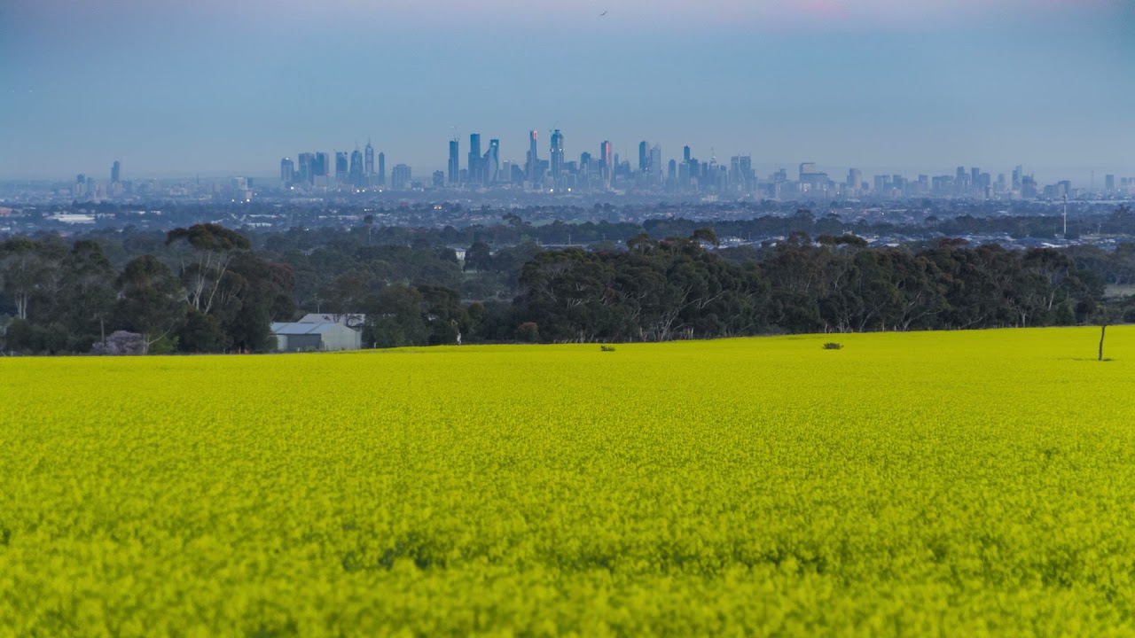 Canola fields time-lapse 2019