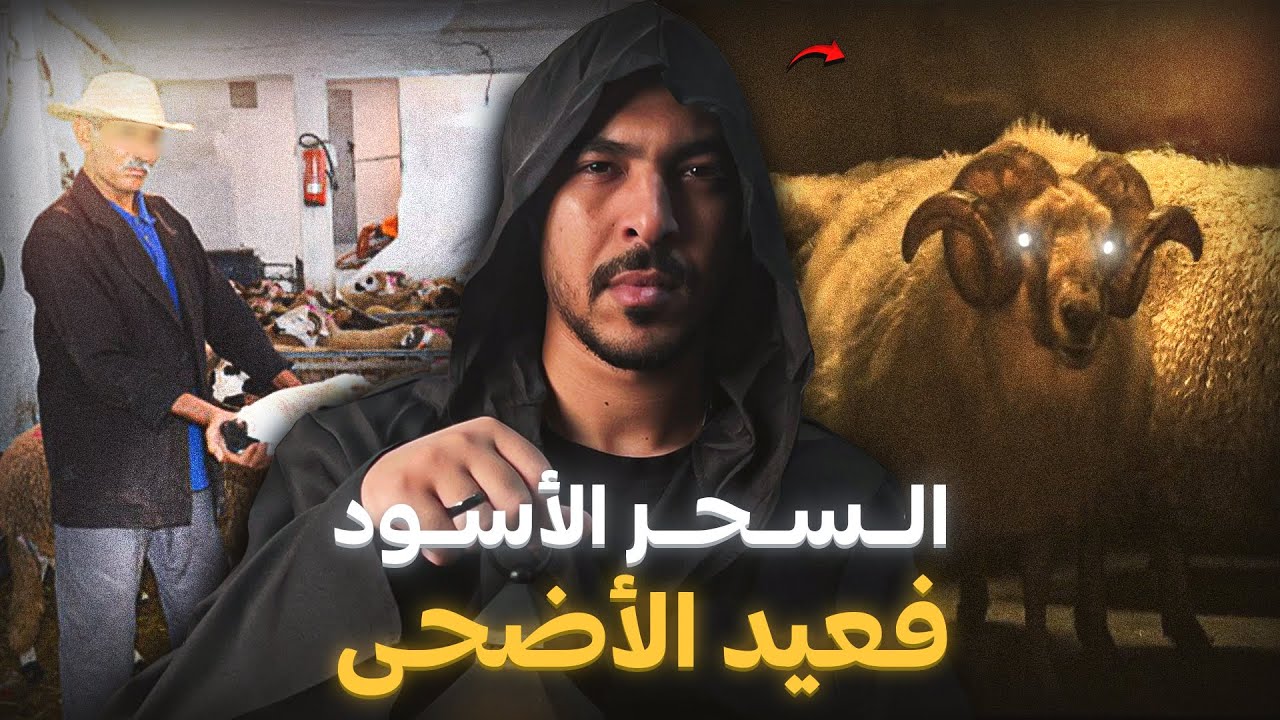 كساب كيموتو ليه الحوالا كل نهار بطريقة غامضة (قصة الحسين والسحر الأسود فعيد الأضحى)