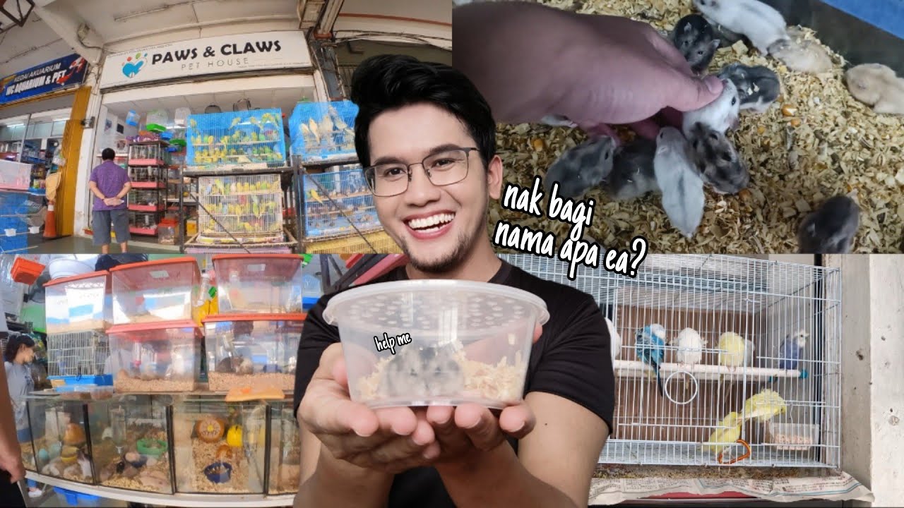 first time melawat petshop PAWS & CLAWS Pasar Pudu | vlog beli hamster 🐹