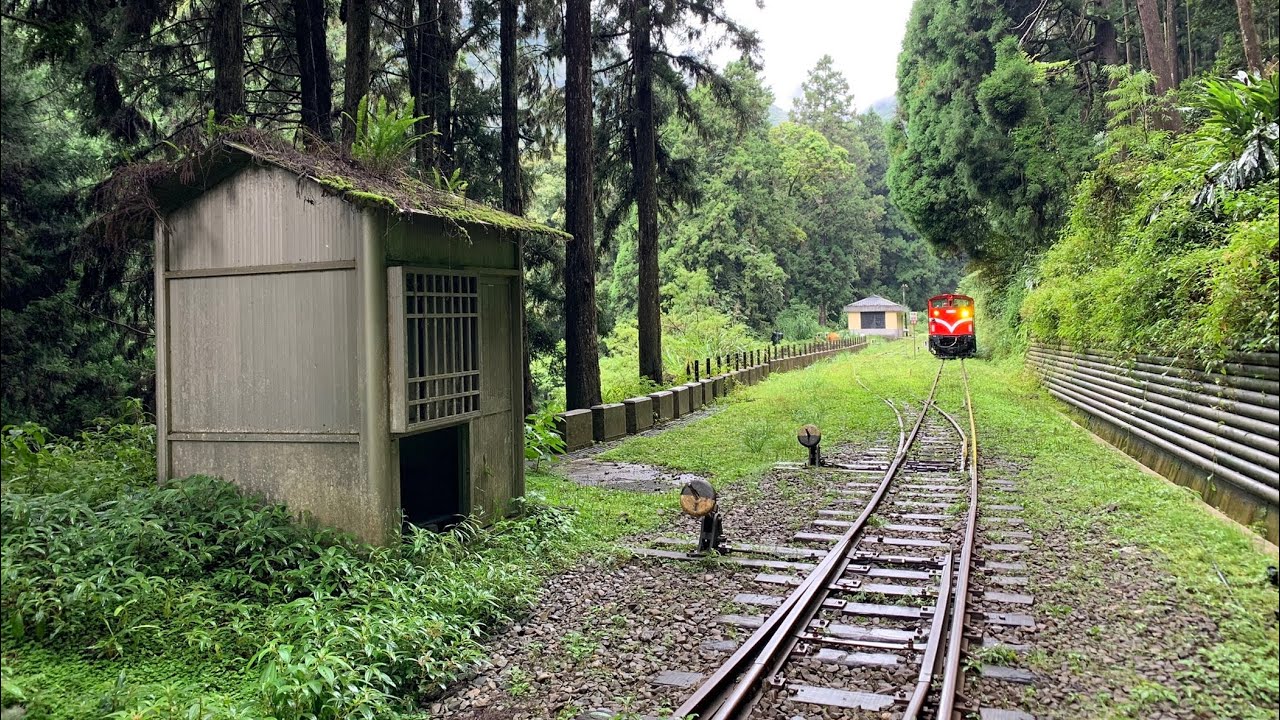 【Alishan Forest Railway】The 1st Switch Exploration｜第一分道探險