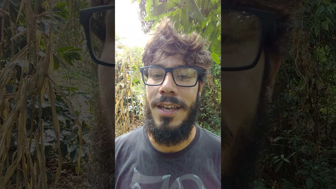 AGROECOLOGIA: ecossistema x agroecossosistema.