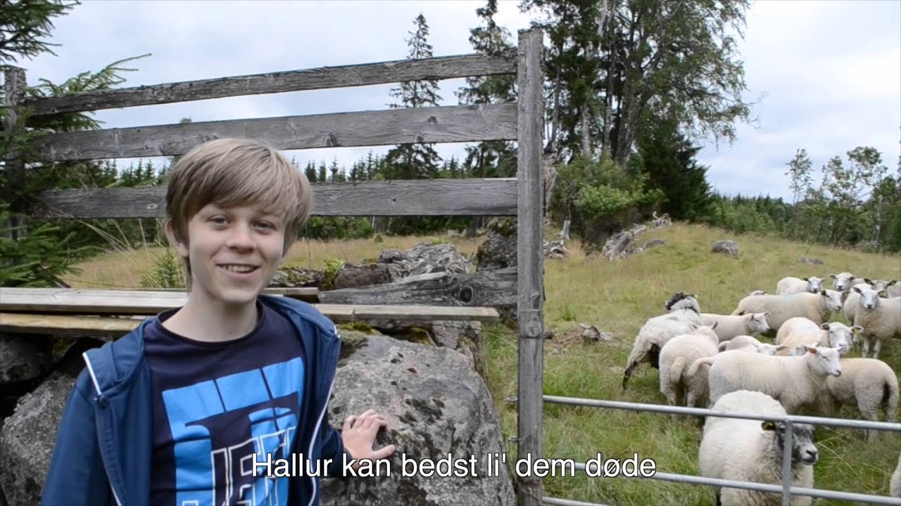 Anna og Hallurs bryllupssang (shake your booty)