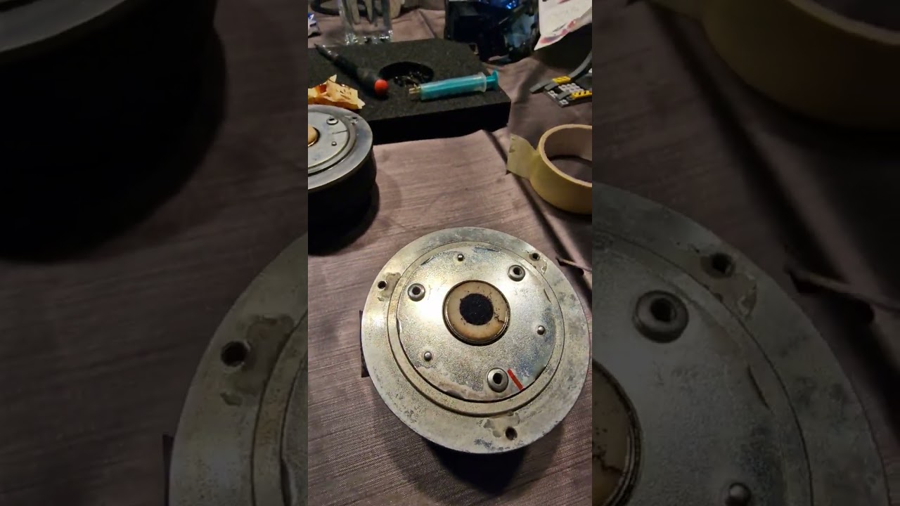 Dynaudio Esotar T-330D Ferrofluid exchange