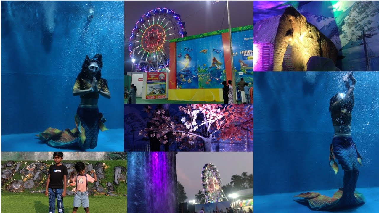 Niagara Waterfall Expo Mavelikara 2026 / Mermaid Show