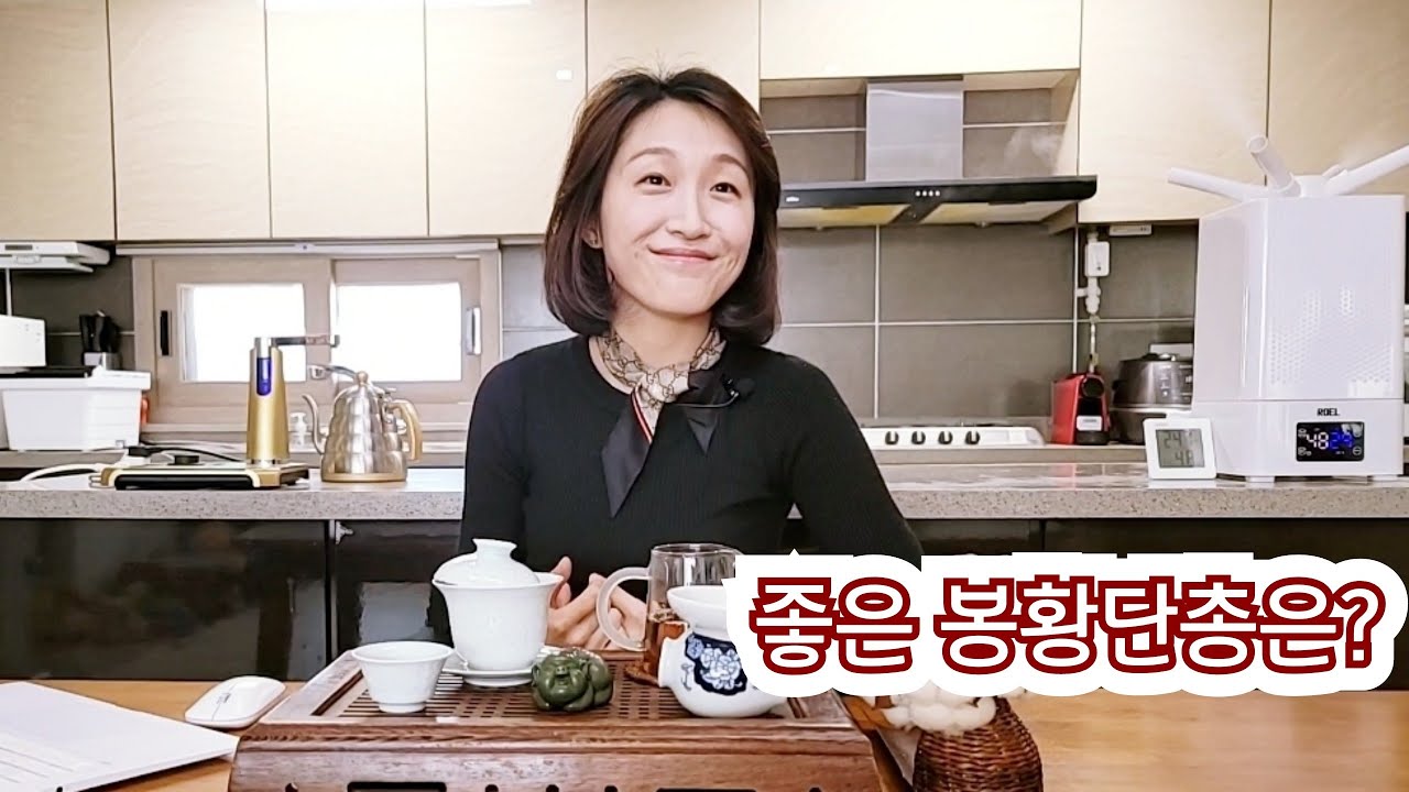 봉황단총_ 좋은 봉황단총이란?_ 향기를 통해 봉황단총 알아 보기