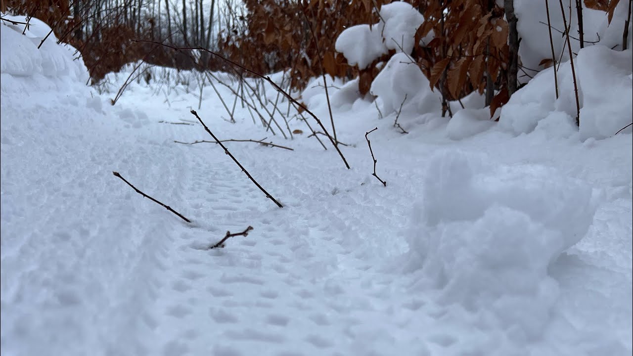 Fat biking the Cadillac winter sports trail 