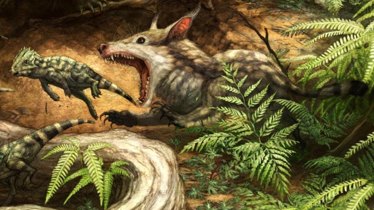 Eutriconodonts: Carnivorous Mammals of the Mesozoic