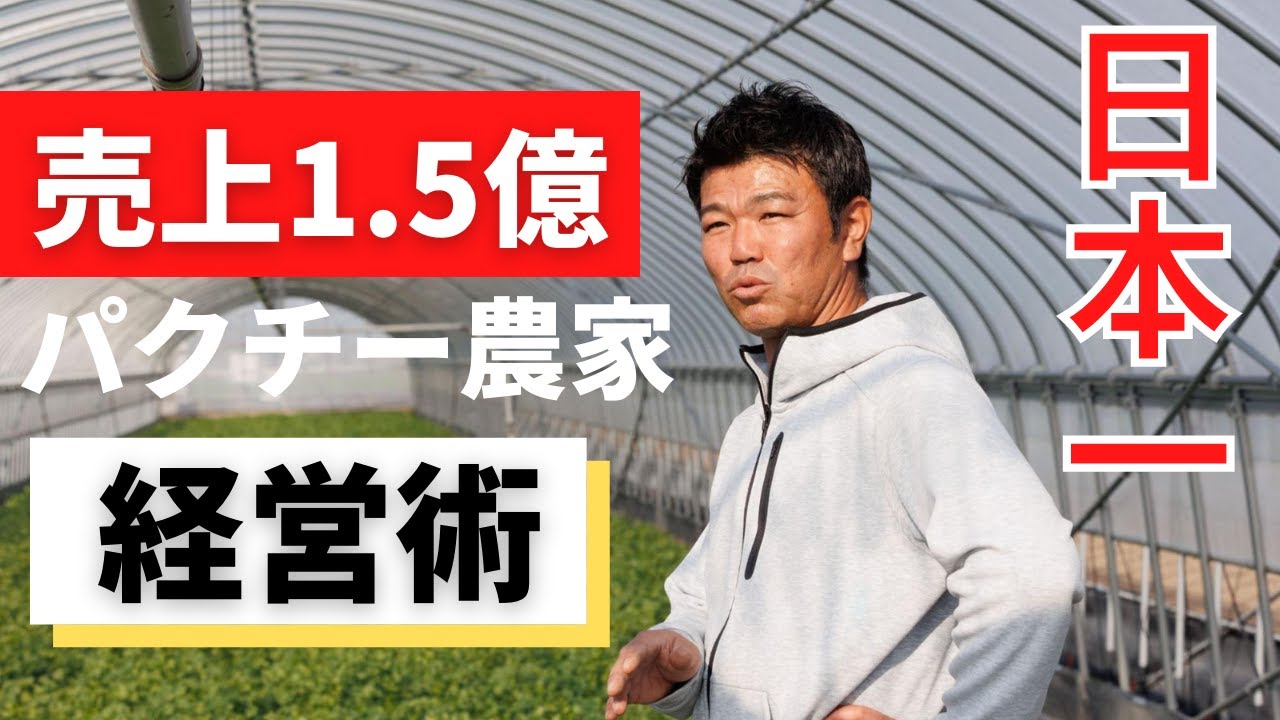 【香月菜園】売上1.5憶円！日本一のパクチー農家の経営術！